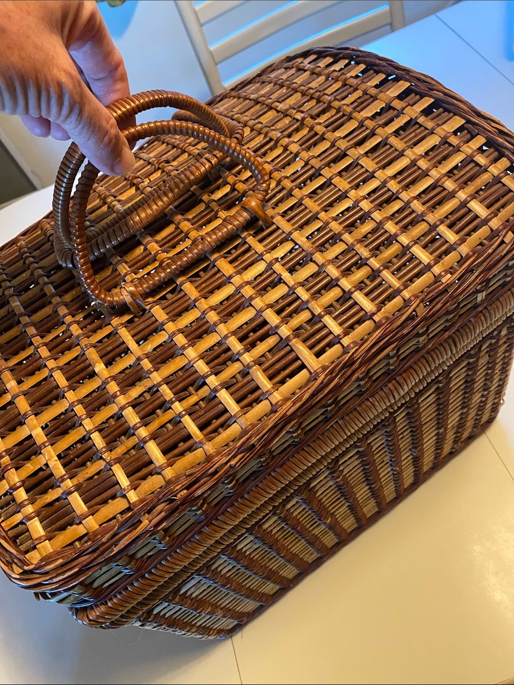 Woven Picnic Travel Basket Bag - Brown & Beige